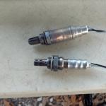 IMG_20171111_163602962_1024px