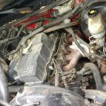 IMG_20171111_190223966_1024px