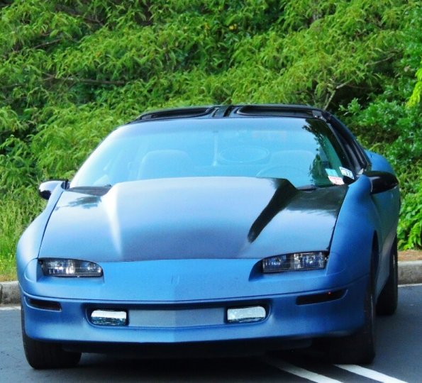 IMG_20130529_092236_zpsbc719e49