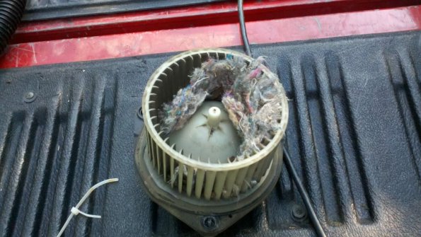 2011-07-31_16-17-47_974