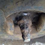 2013-03-09_16-45-47_738_zps663e06be