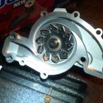 IMG00007-20101209-1747