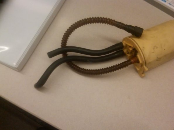 IMG00111-20100806-1102