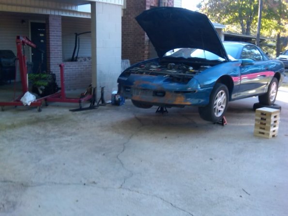 IMG00224-20101016-1623