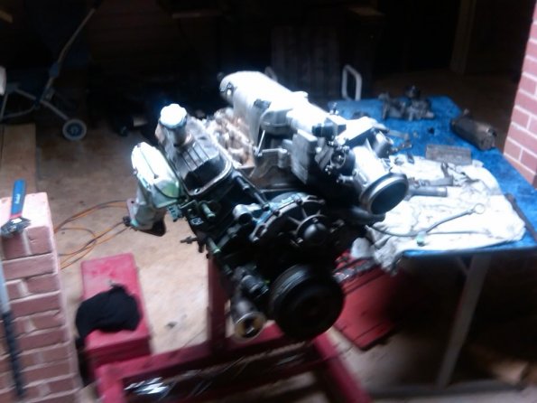 IMG00238-20101020-2041