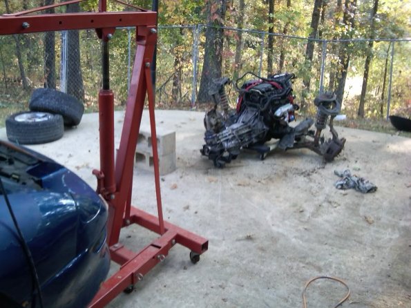 IMG00262-20101024-1014