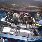 IMG00305-20101025-2205