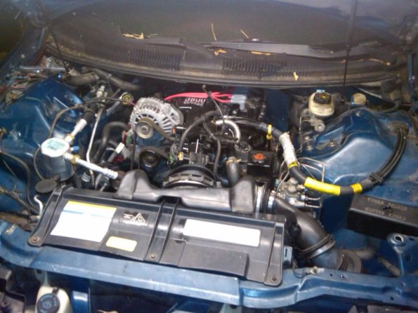 IMG00305-20101025-2205