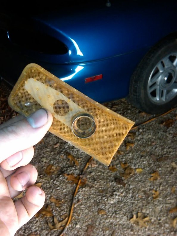 IMG00306-20101027-1936