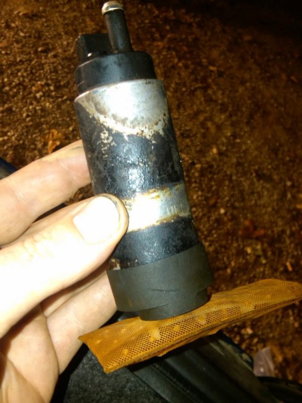 IMG00307-20101027-1940