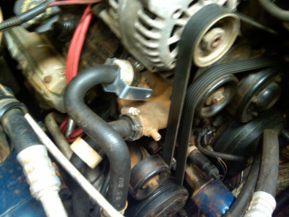 IMG00436-20101122-1828