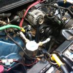 IMG00437-20101123-1856