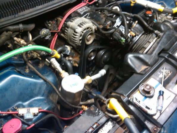 IMG00437-20101123-1856