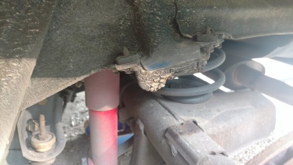 IMG_20170923_163652884_1024px