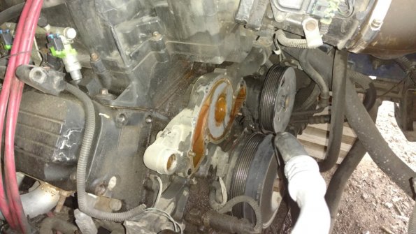 IMG_20171007_172938833_1024px