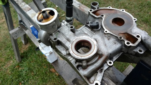 IMG_20171008_163843873_1024px