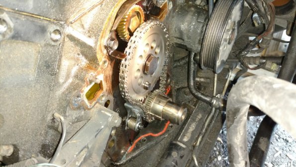 IMG_20171008_164418932_1024px