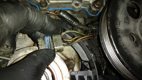 IMG_20180318_150810272_1024px