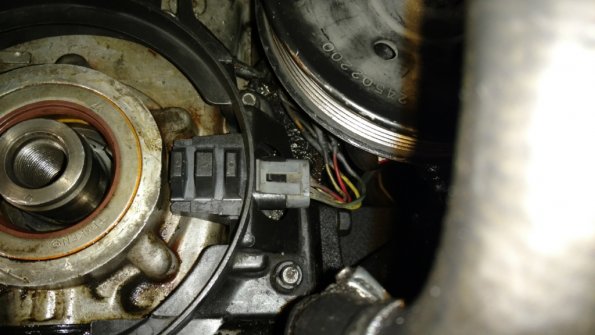 IMG_20180318_154039295_1024px