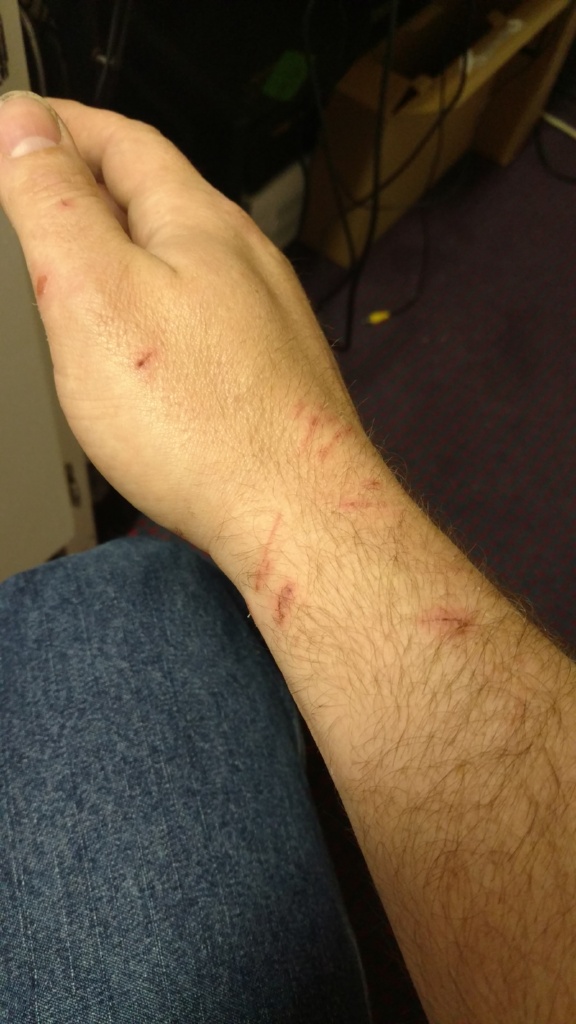 IMG_20180513_111300884_1024px