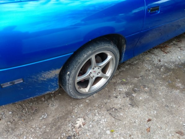 IMG_20190101_105521366_1024px