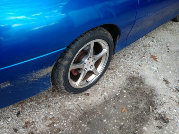 IMG_20190111_075316049_1024px