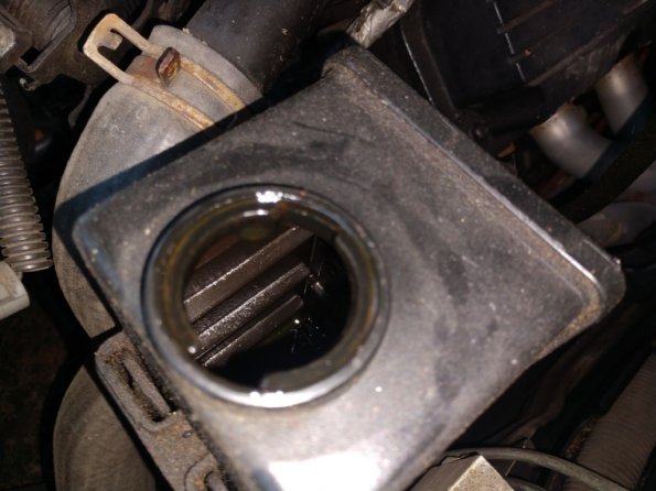 IMG_20190508_175032310_1024px