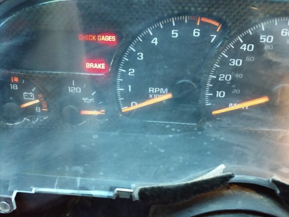 IMG_20190514_194843574_1024px