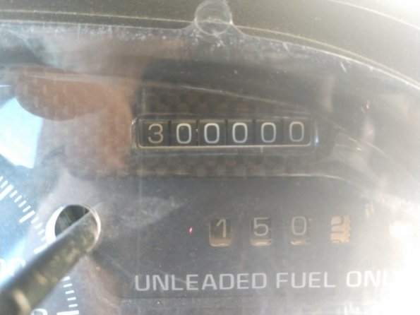 IMG_20191023_135430508_1024px