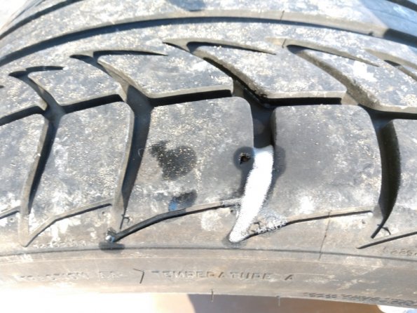 IMG_20191103_145053171_1024px