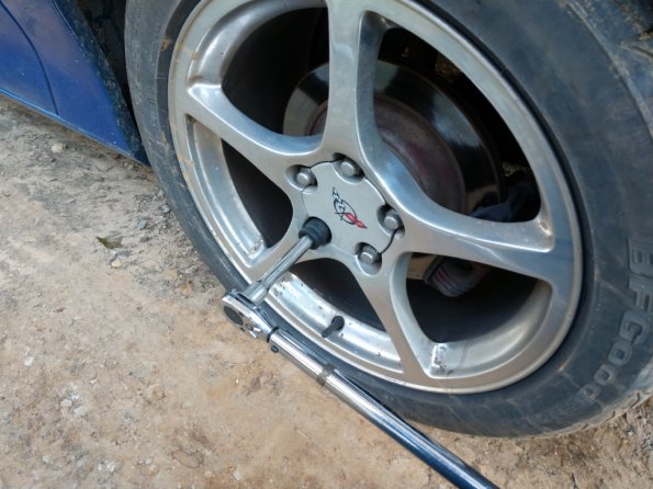 IMG_20191103_145503189_1024px