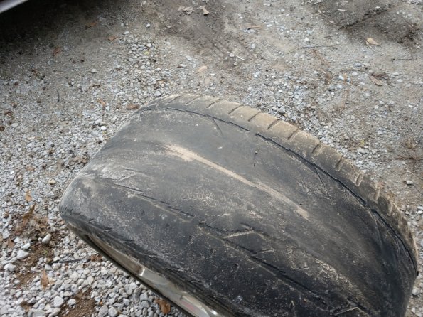 MVIMG_20190108_160054722_1024px