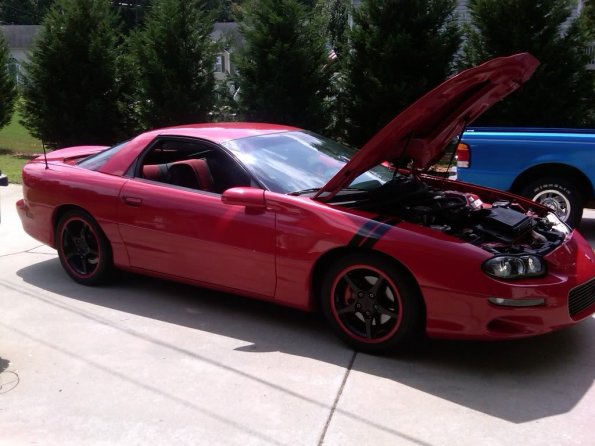 IMG00142-20100828-1241